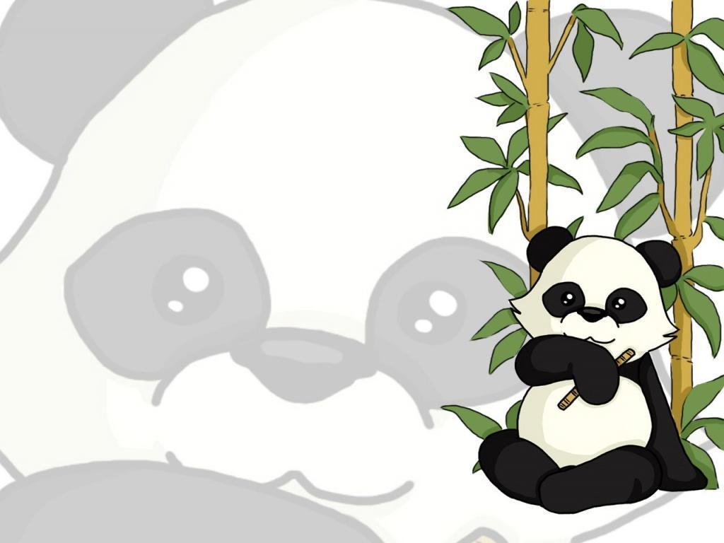 panda bear wallpaper Search Engine