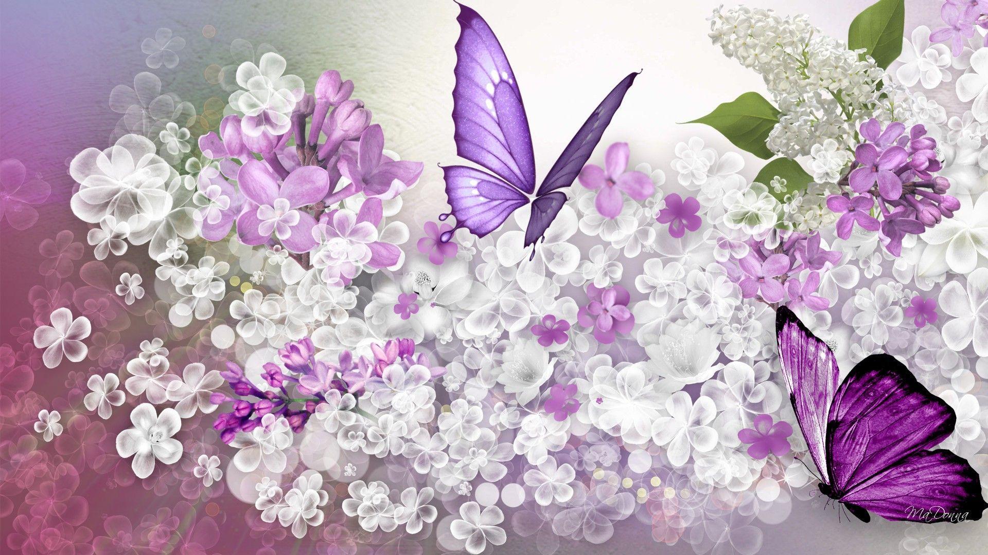 Lilac Flowers Windows 8.1 Theme and Picture. Windows 8.1 Themes