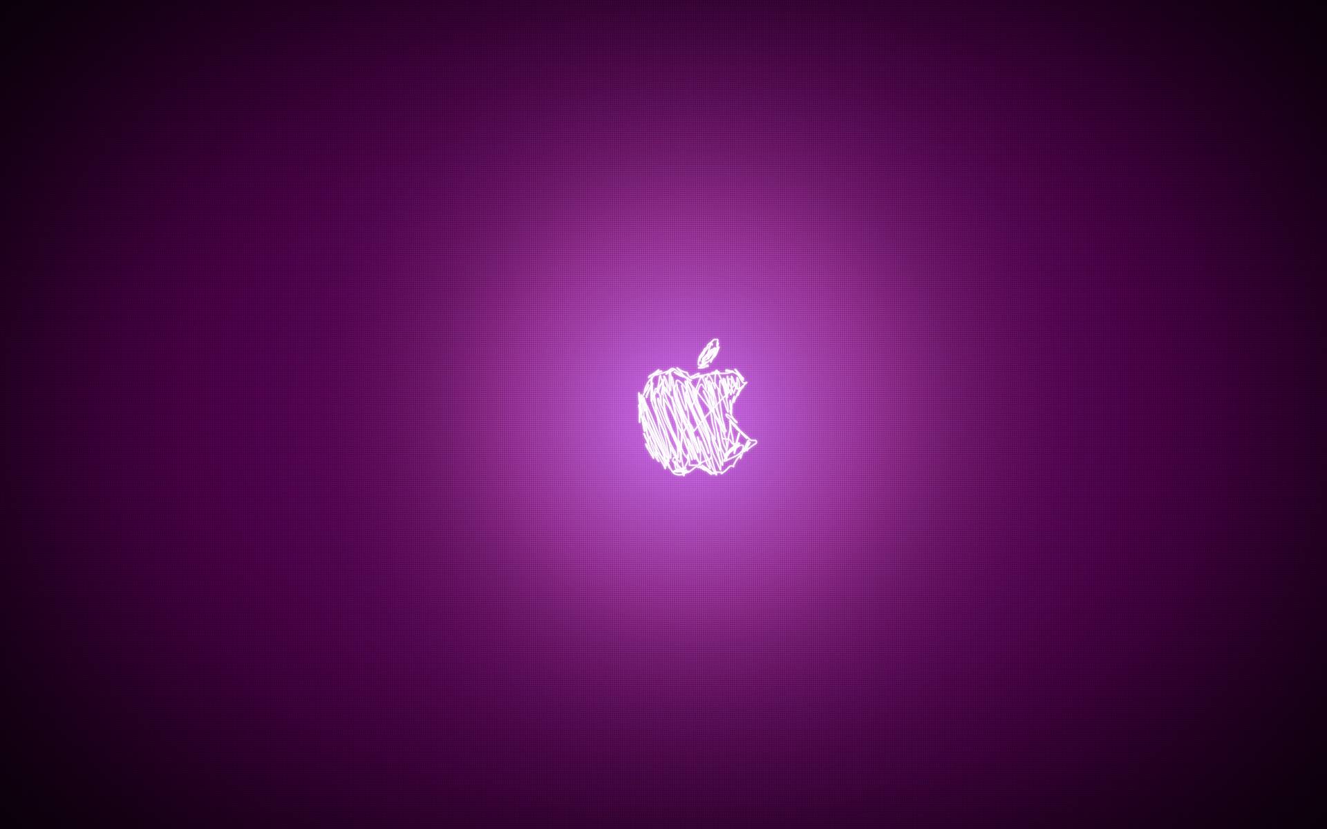 Wallpaper For > Pink And Purple Wallpaper HD