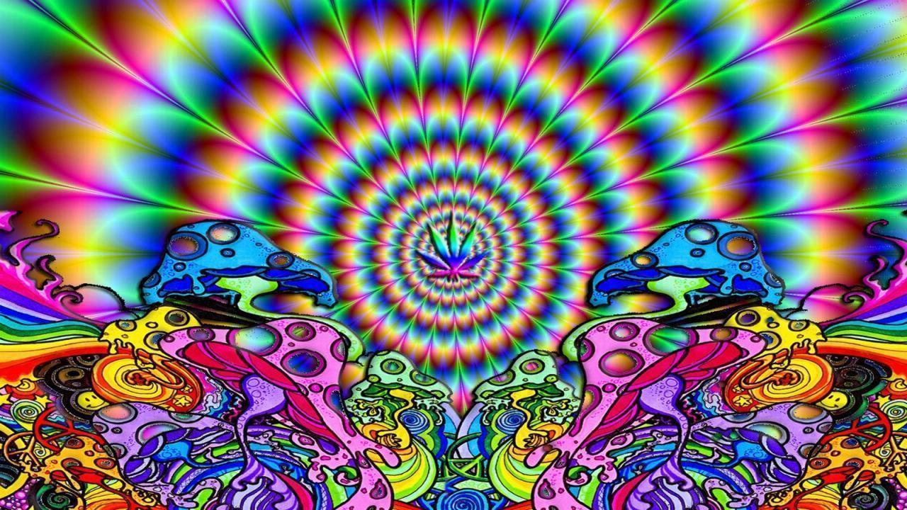 Wallpaper Psychedelic Shrooms Colorful Hi 1280x720PX Wallpaper