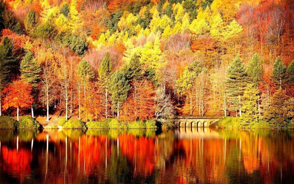 Fall Landscape Wallpaper Image & Picture