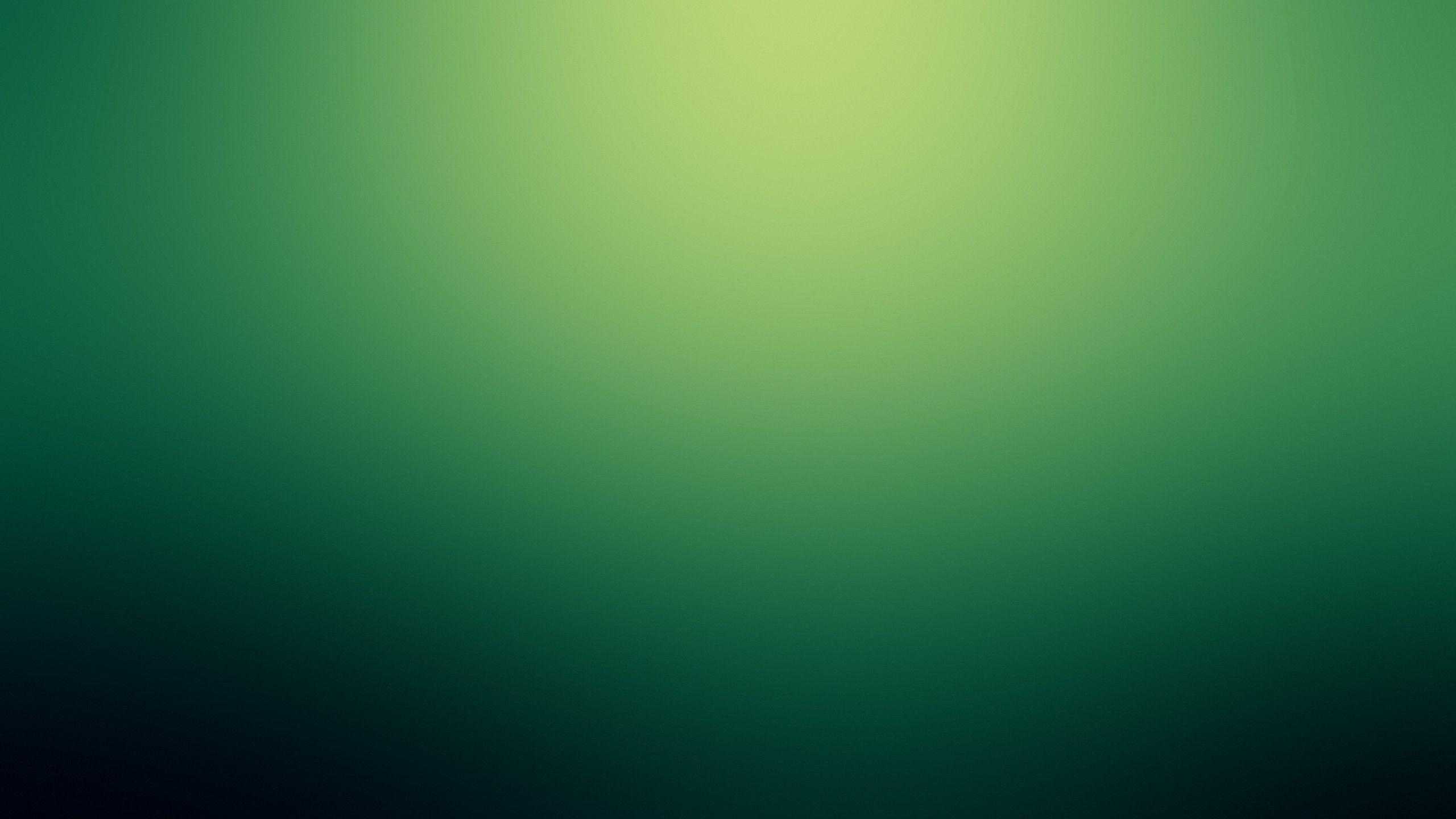Green Gradient Wallpaper 26051 2560x1440 px