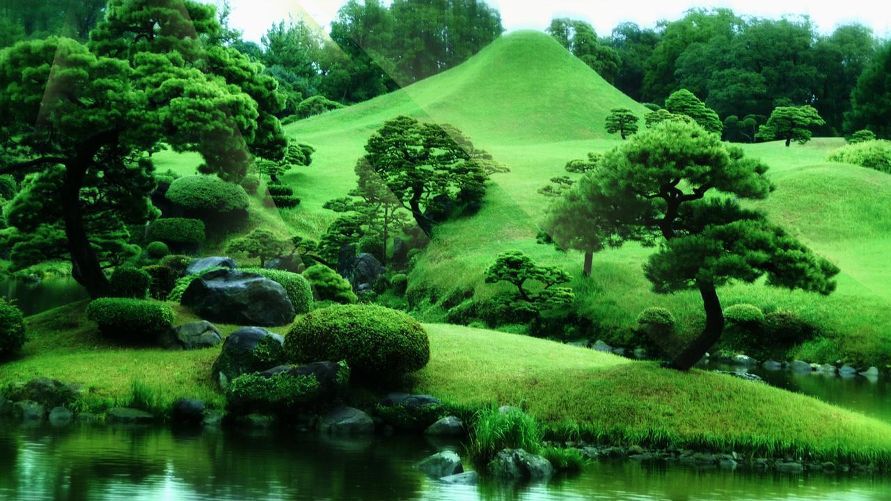 Zen Garden Live Wallpaper Apps on Google Play