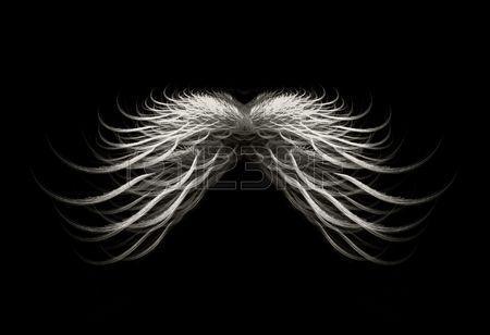 Black And White Dark Angel Wings Isolated Over Black Background