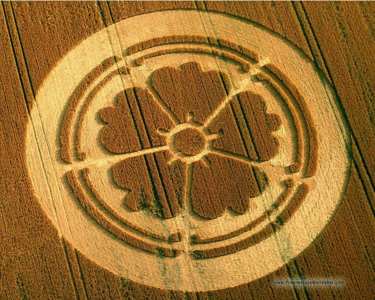 Flower Crop Circle. Crop Circles Wallpaper Download