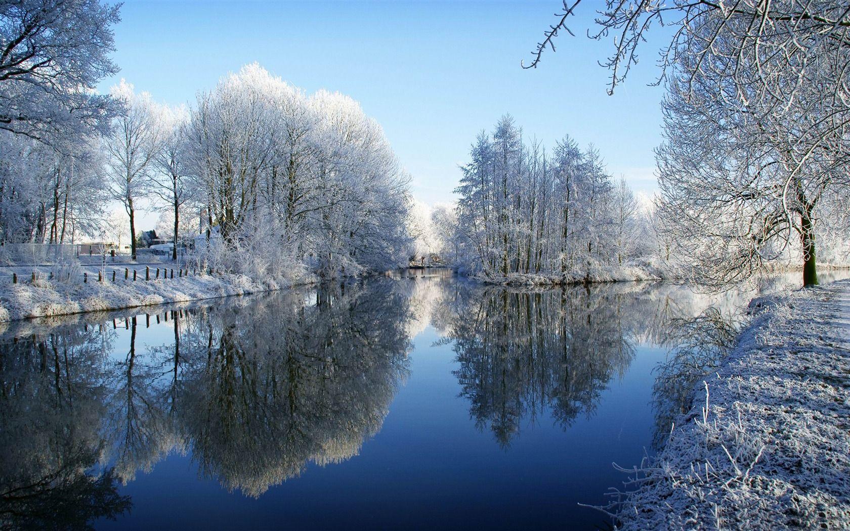 Frozen Trees Reflected In Water Winter Snow Theme Wallpaper