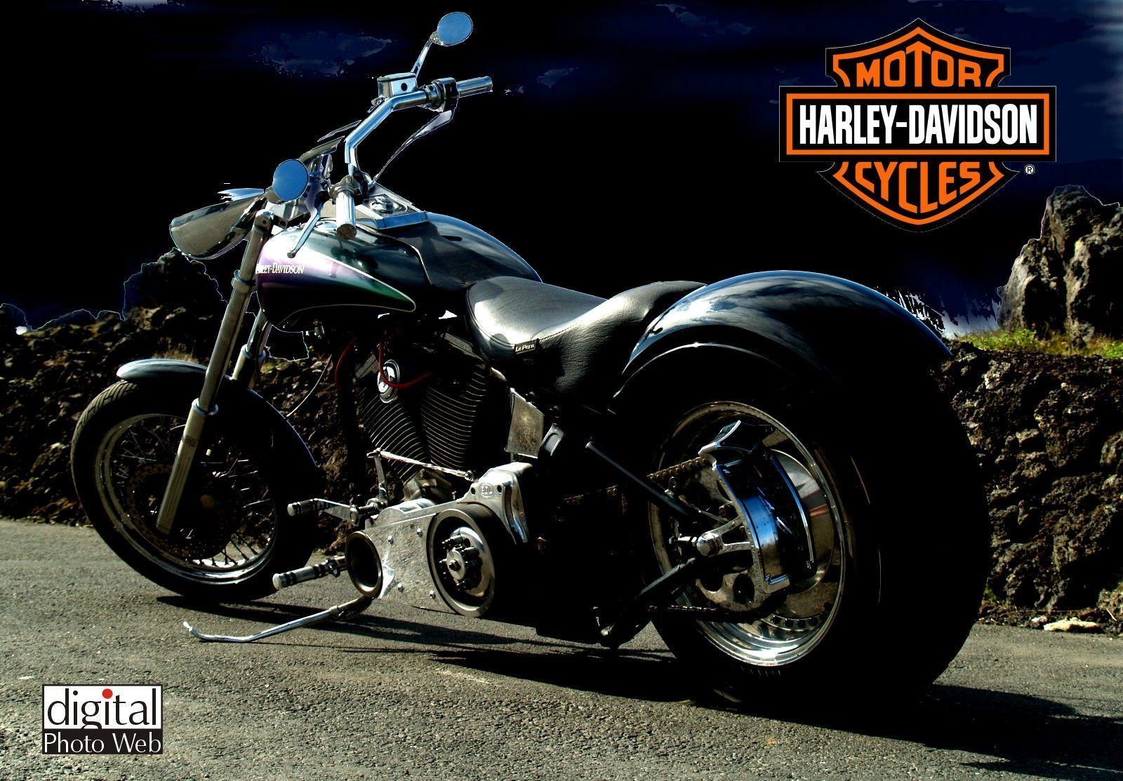 Wallpaper For > Harley Davidson Bike Wallpaper