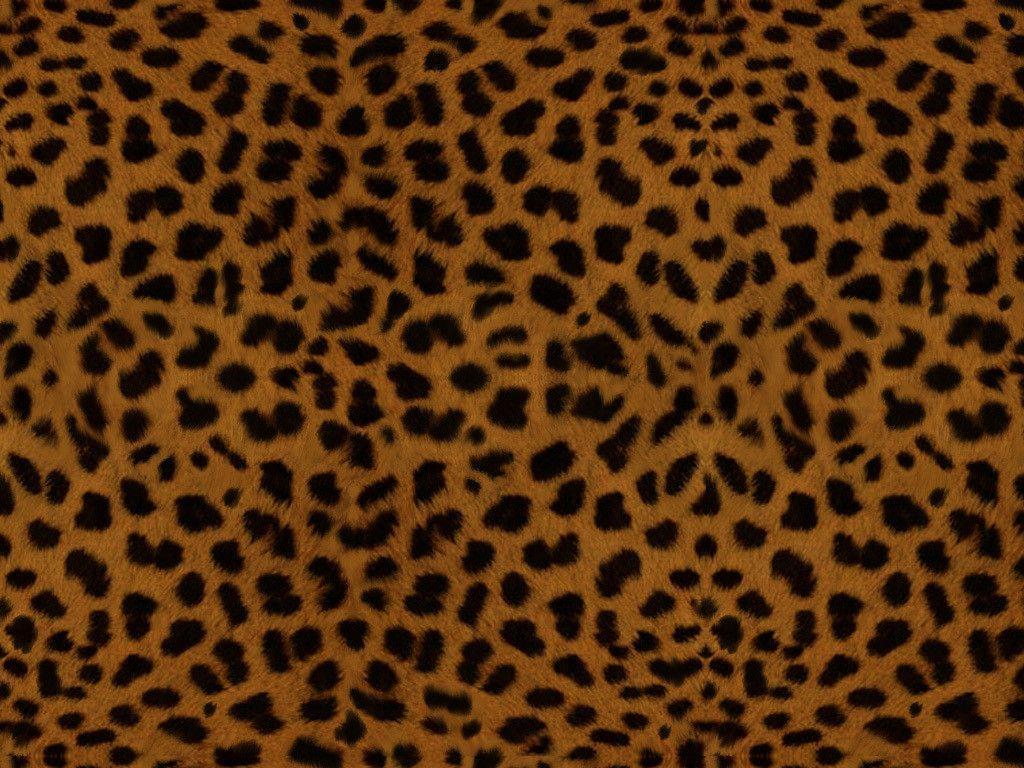 Lady Leopard Wallpaper and Picture Items
