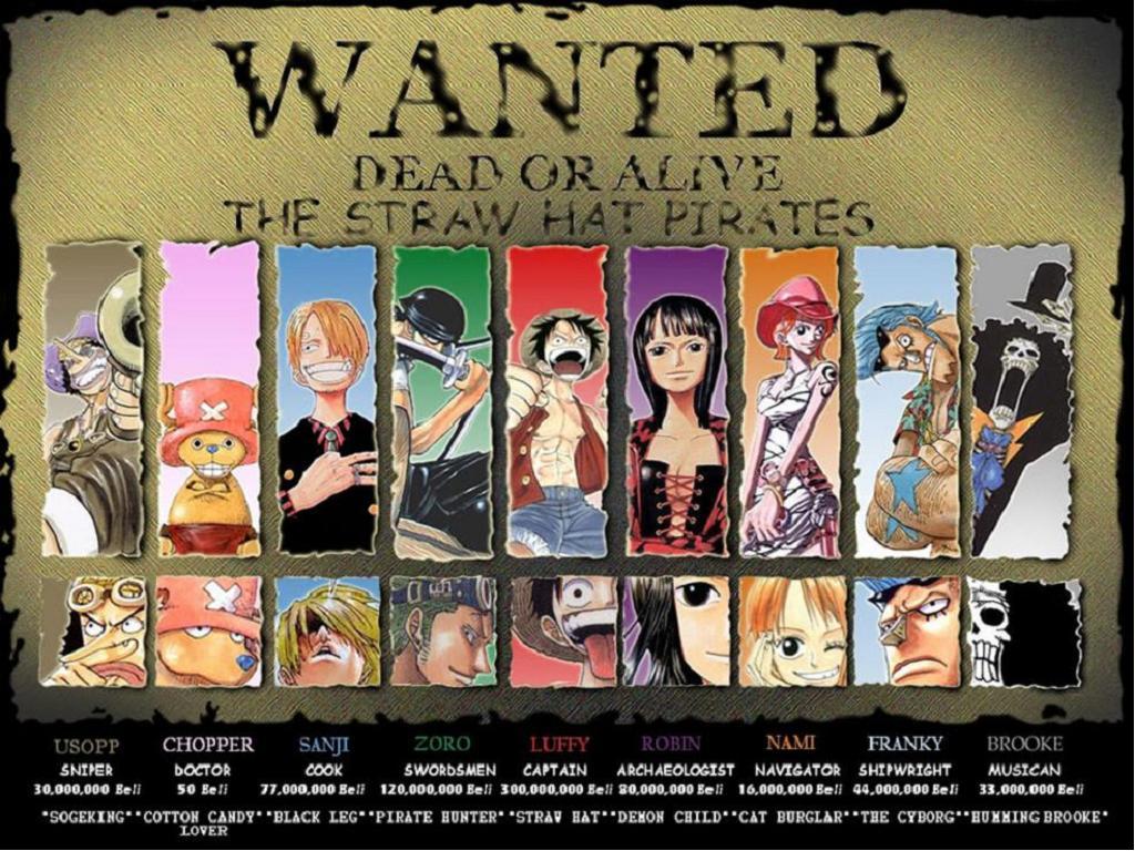 Download One Piece Wanted Anime Zone Wallpaper 1024x768. Full HD