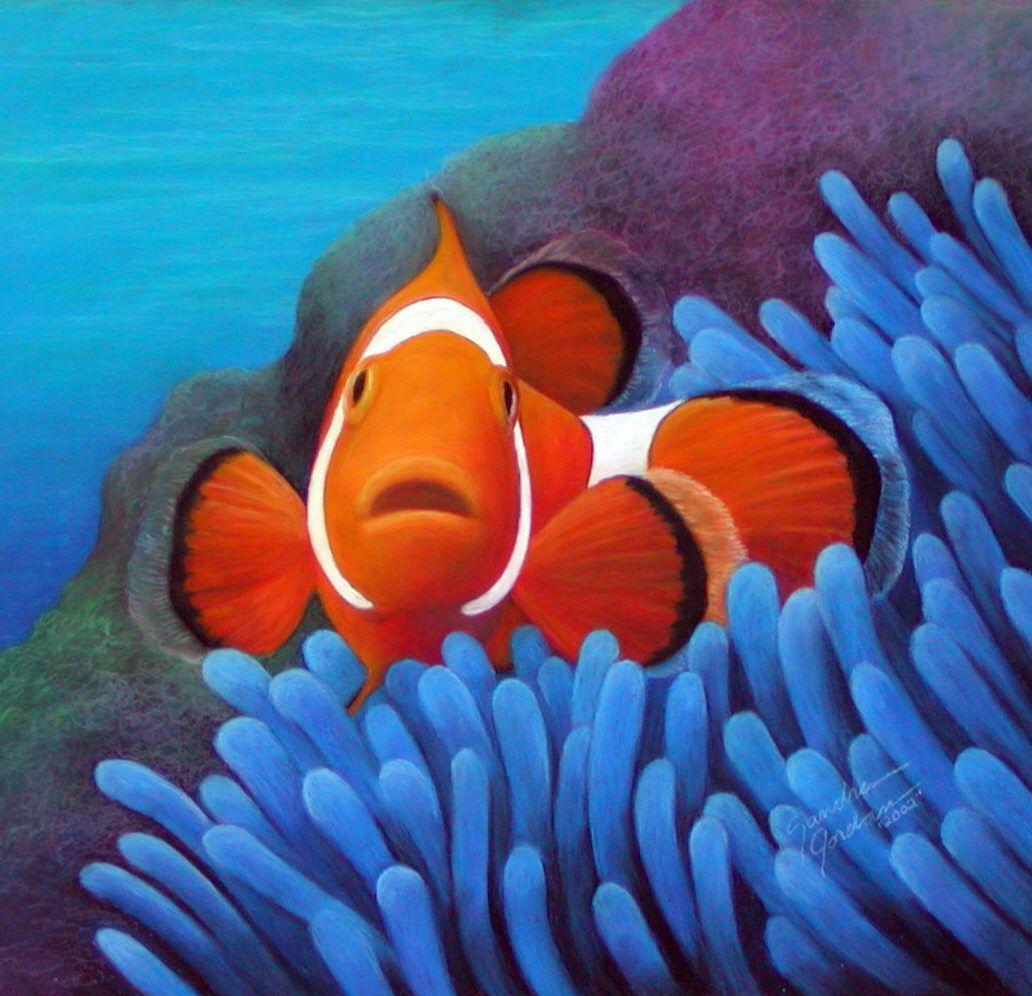 Clown Fish Wallpaper For iPhone. Fish, Latest iPhone Red Fish