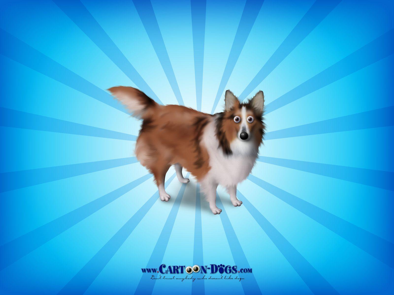 Shetland Sheepdog Wallpapers - Wallpaper Cave
