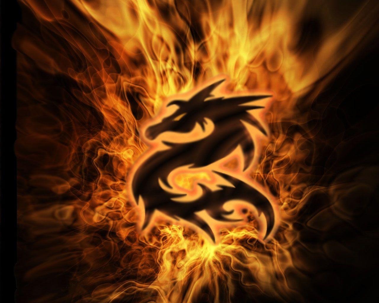 Chinese tradition black fire dragon free desktop background