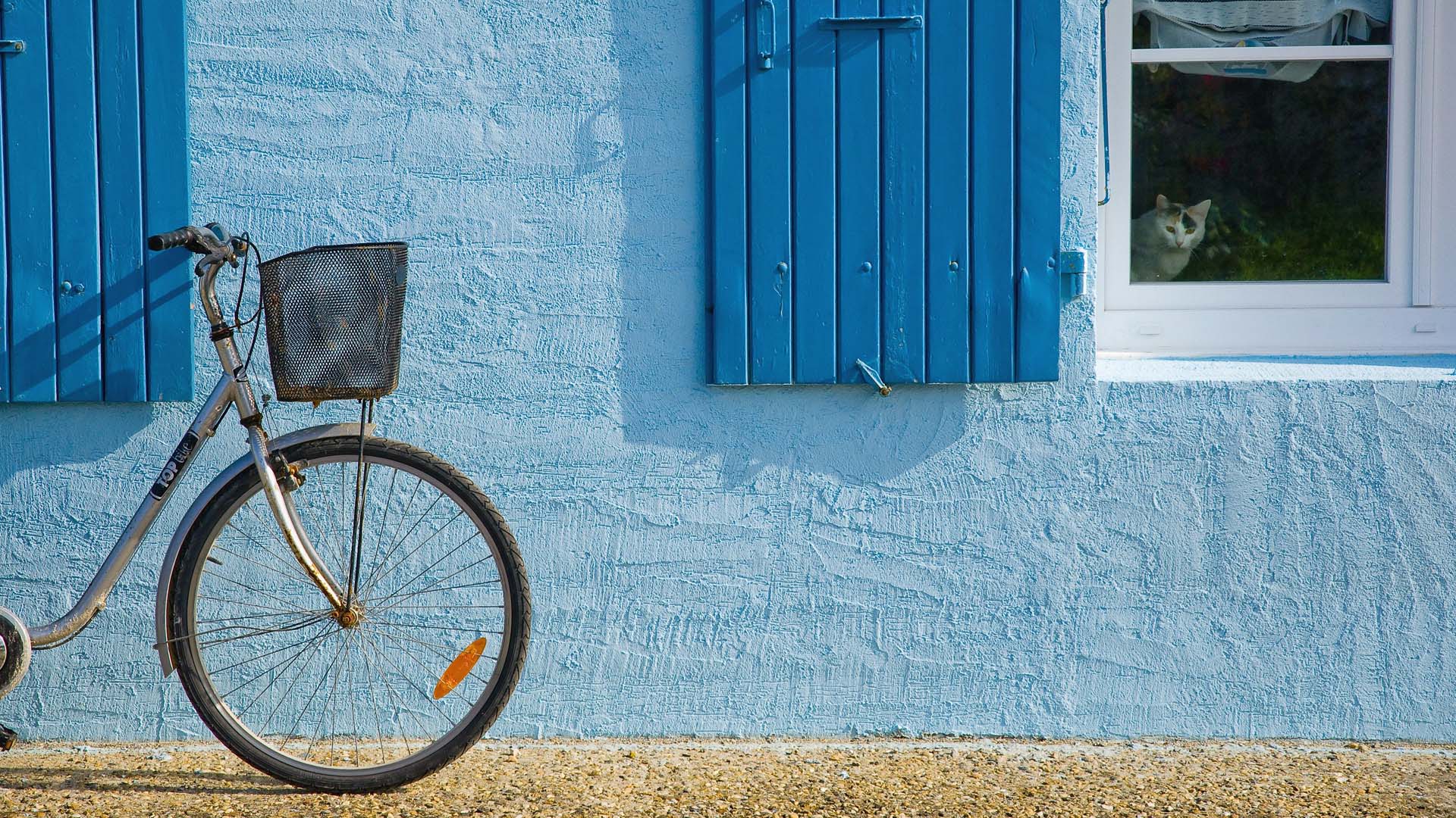 Bicycle 1920×1080 Fresh New HD Wallpaper