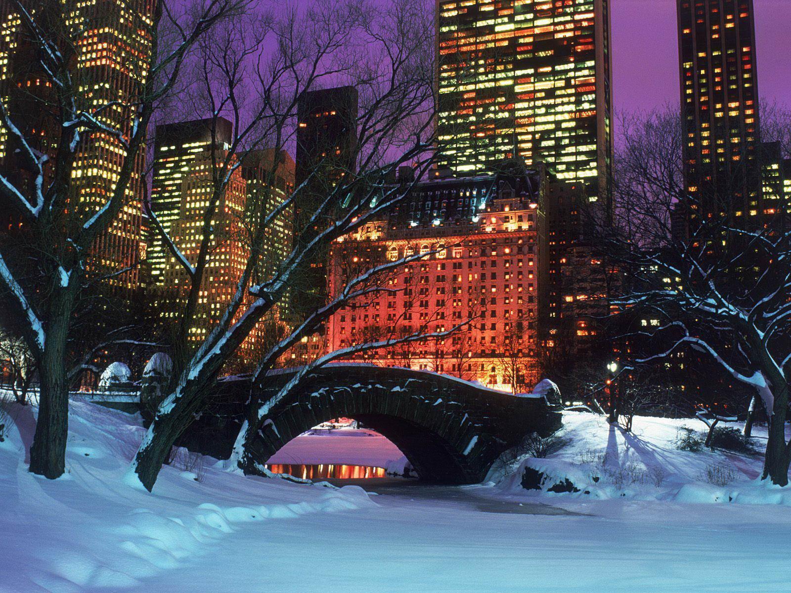 Central park in winter landscape New York city free desktop