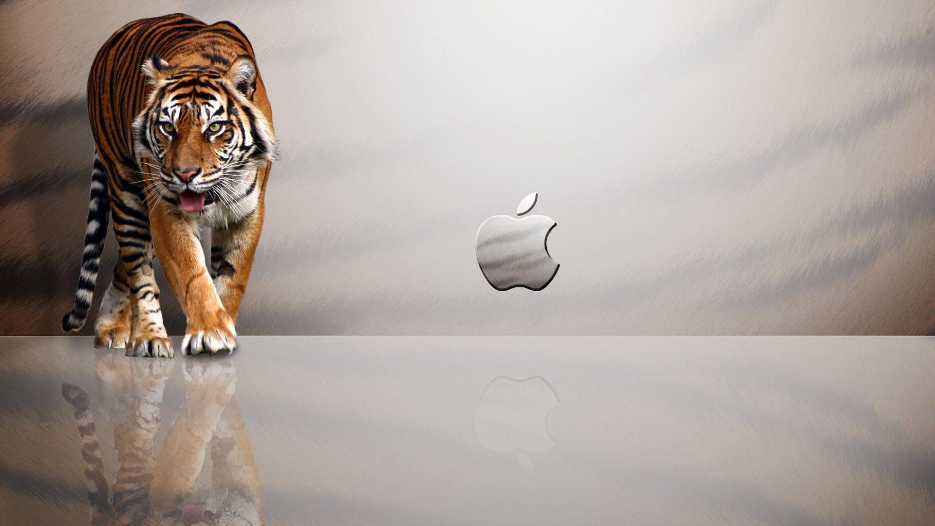 Apple Mac OS X Tiger Computer Wallpaper