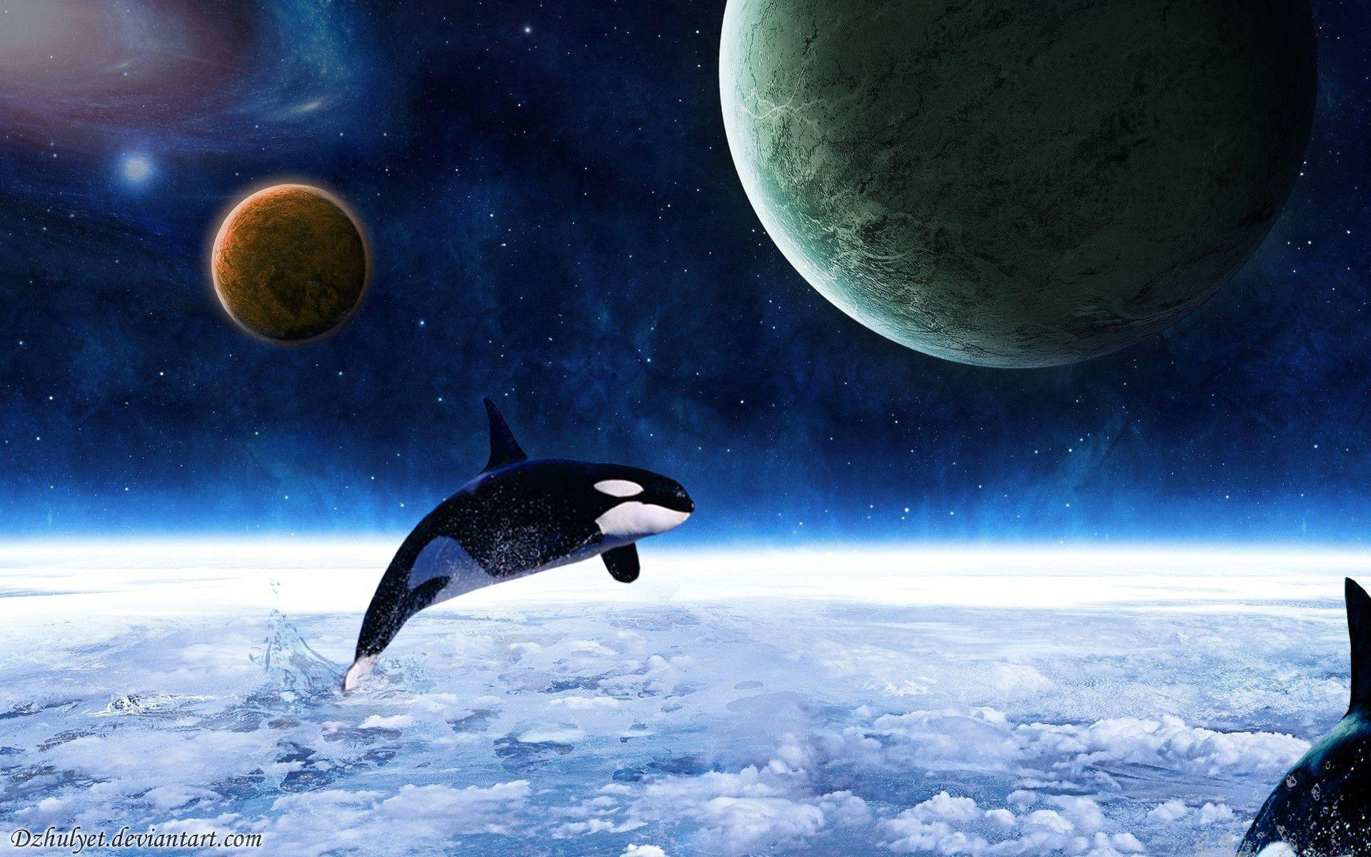Space Killer Whale