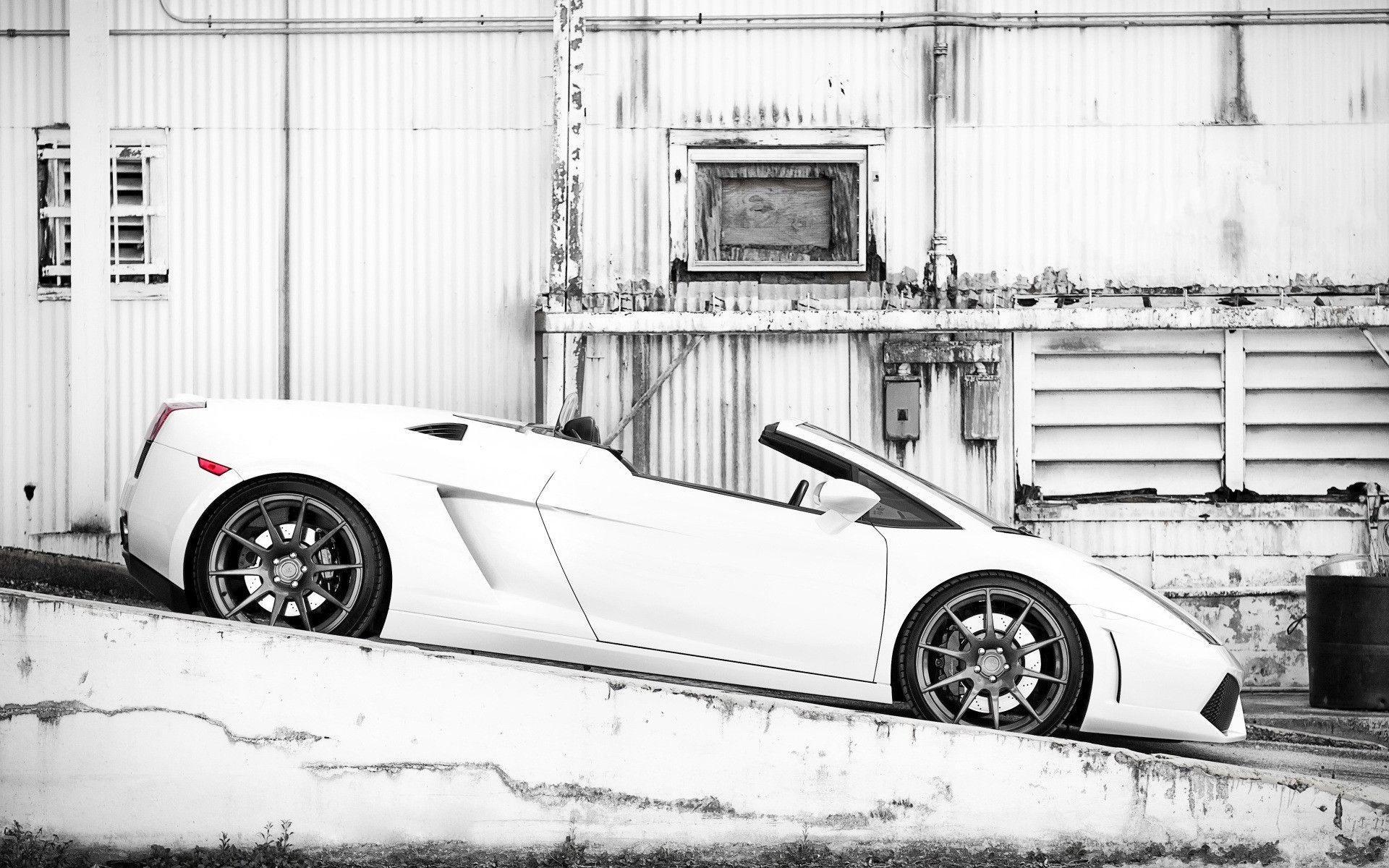 White Lamborghini Gallardo Wide Screen HD Desktop Wallpaper