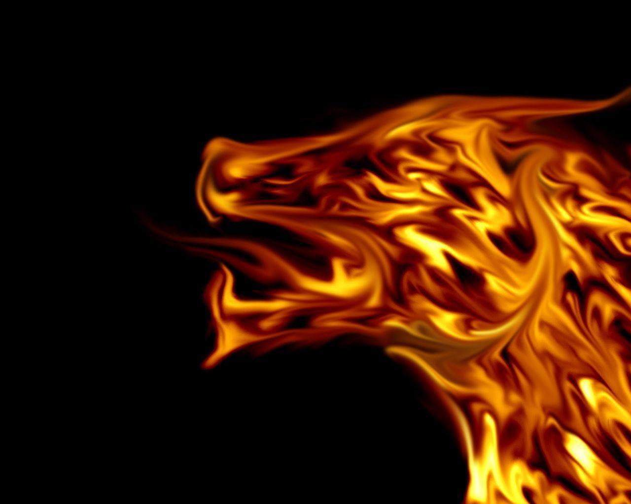 Fire Dragon Desktop Wallpaper