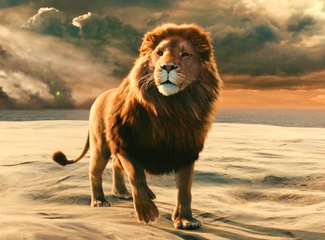 Aslan In Narnia Dawn Treader, Movie Wallpaper