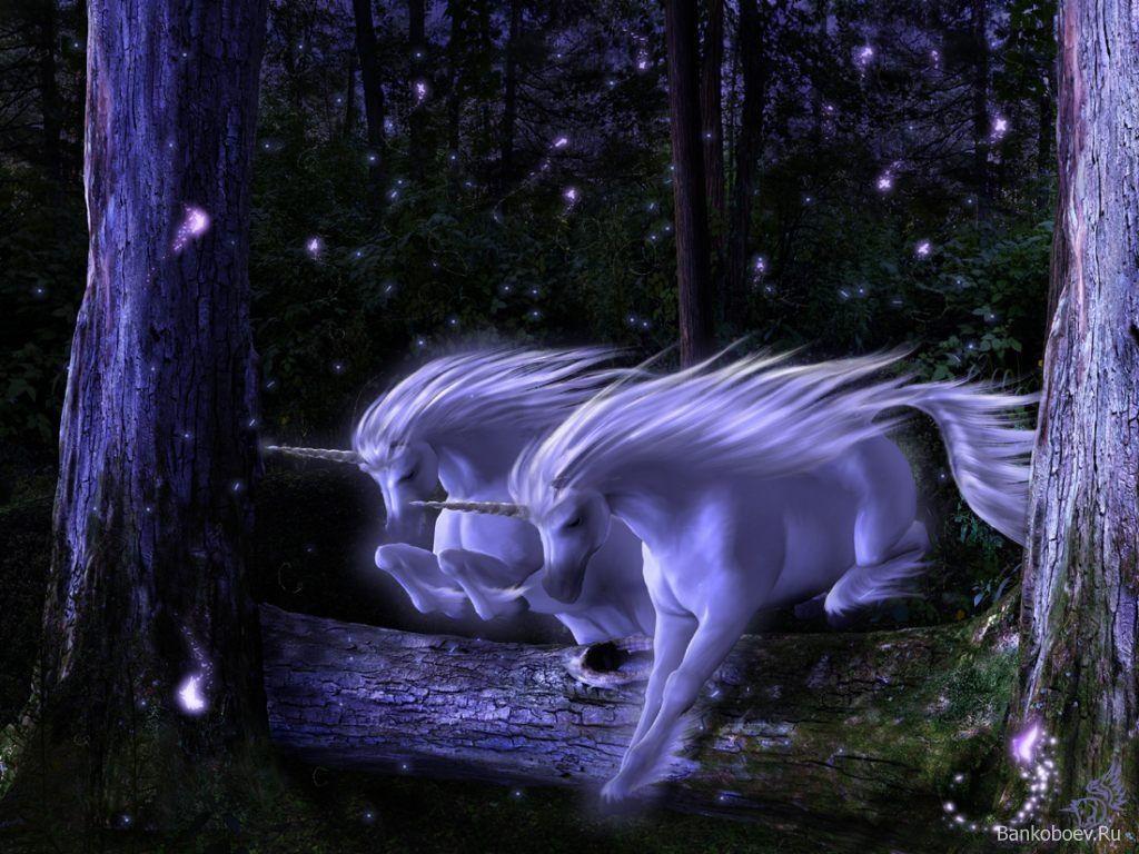 Pix For > Mythical Creatures Wallpaper