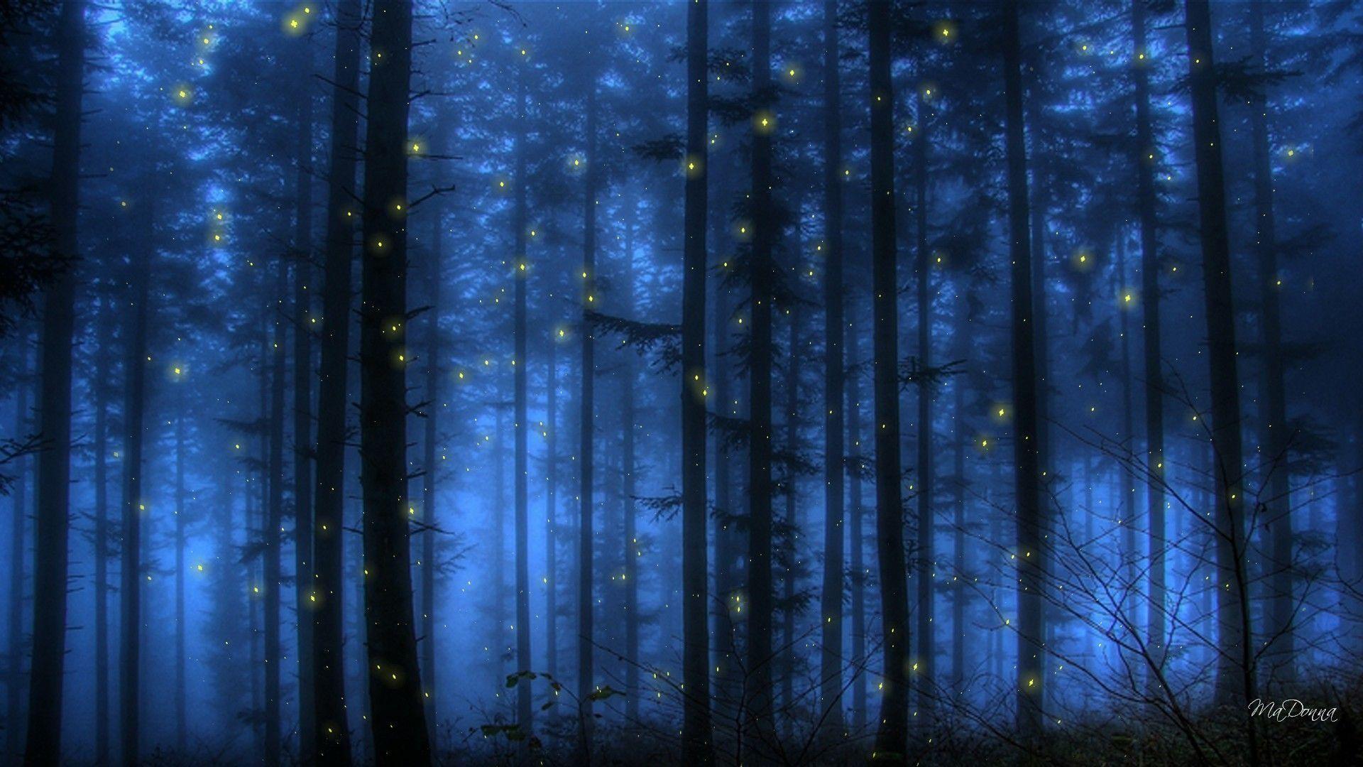 Pix For > Fireflies Wallpaper