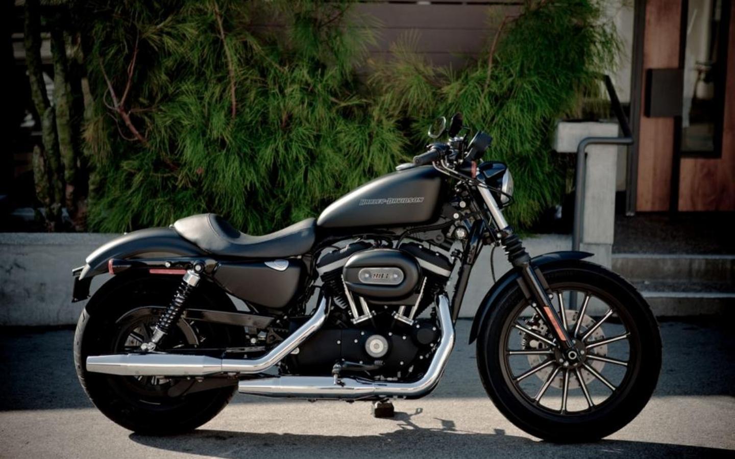 Harley Davidson Sportster 883 Image & Wallpaper