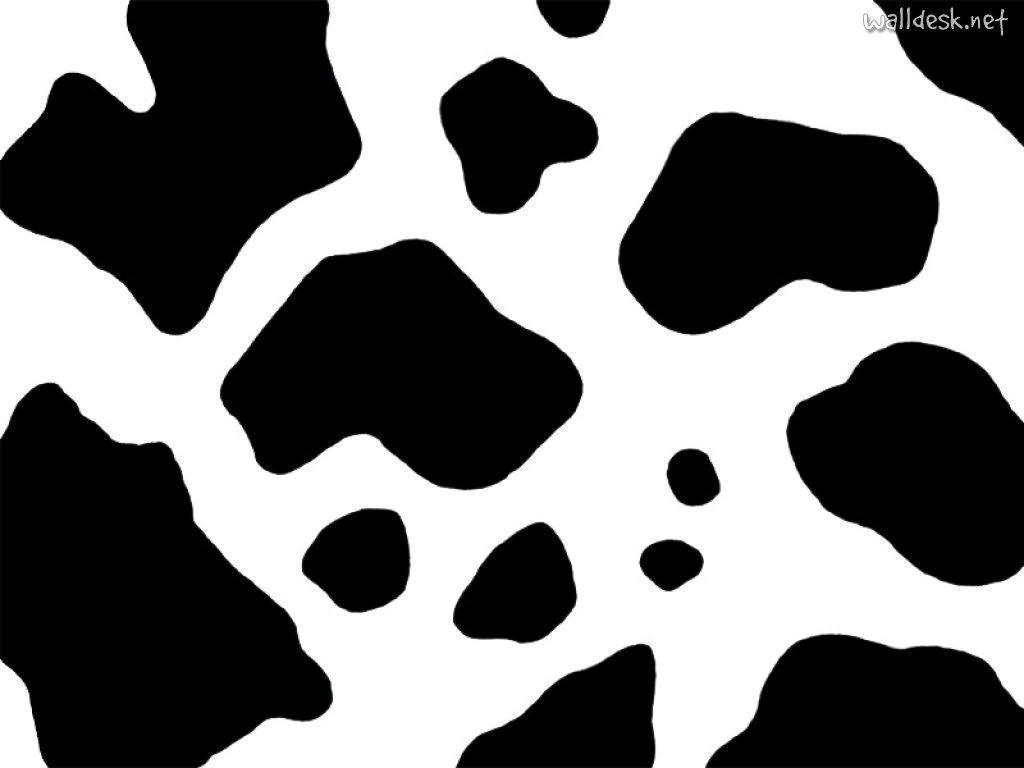Wallpaper For > Cow Print Wallpaper