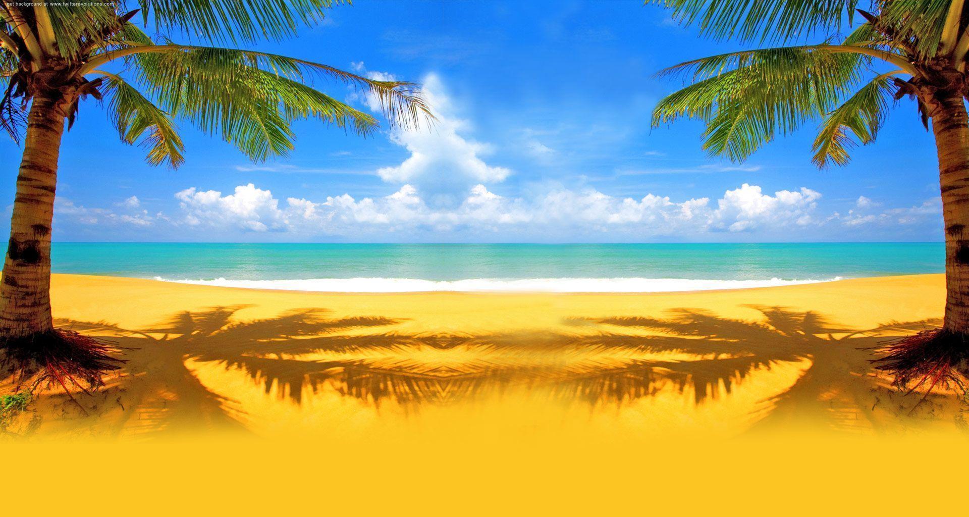 Twitter background with palm on a beach. Twitter background