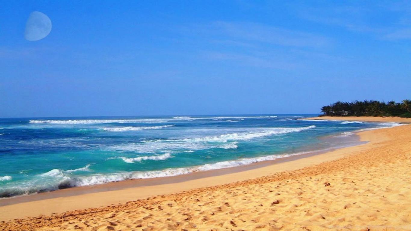 Hawaii Beaches Wallpaper Picture
