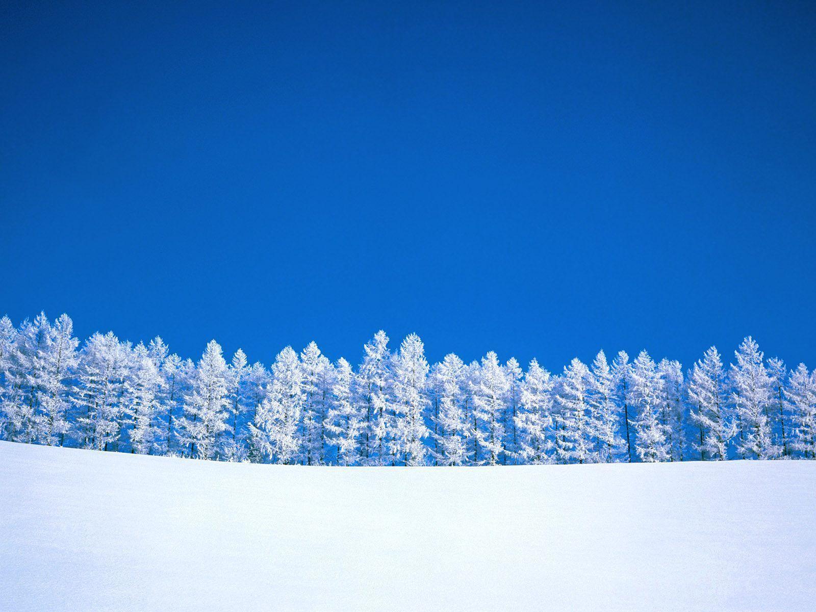 Wallpaper For > Winter Snow Background