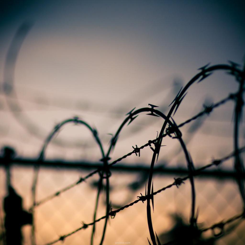 Barbed Wire Fence Barbed Wire Wallpaper Galaxy