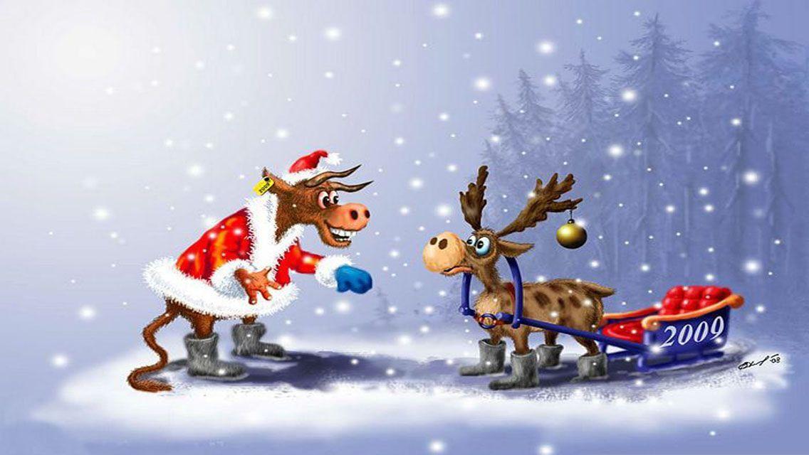 Awesome Funny Christmas iPhone Wallpaper. HD