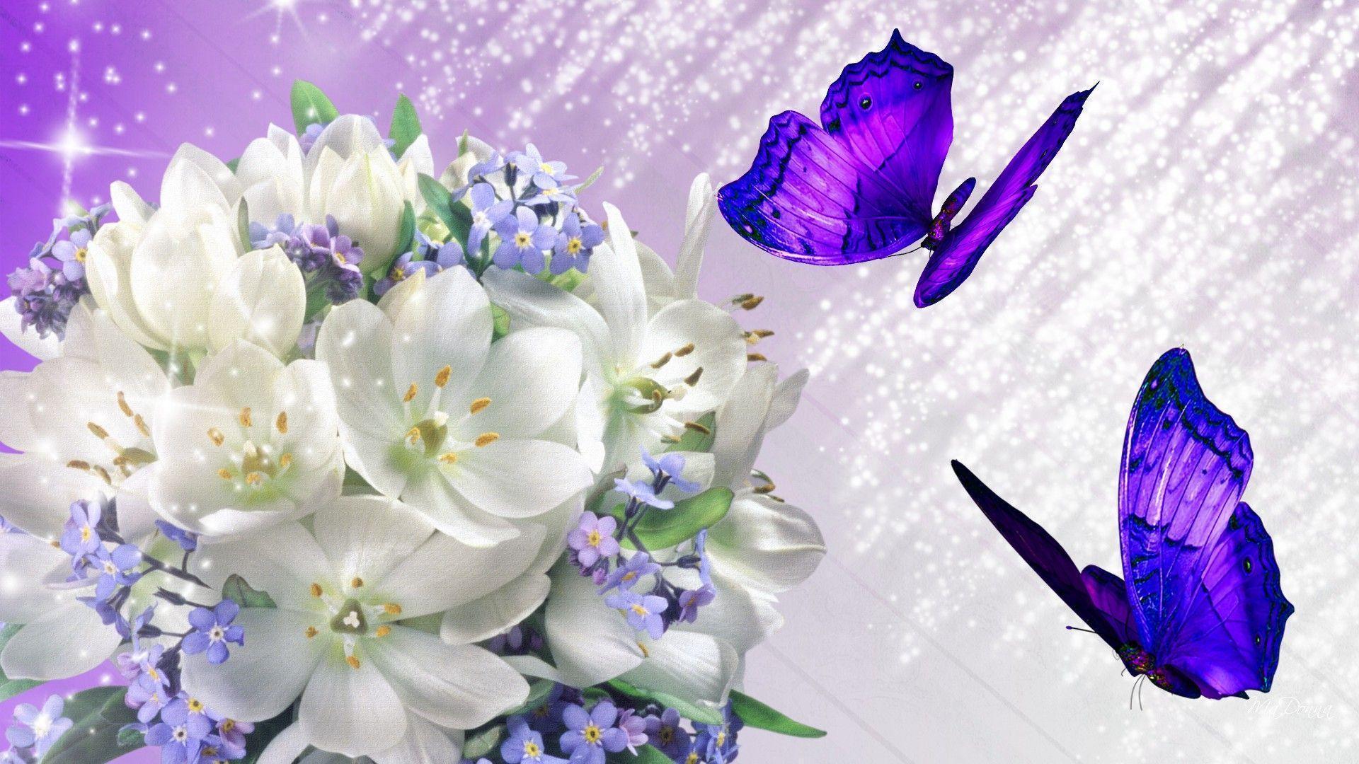 HD Frangipani Lilacs Wallpaper