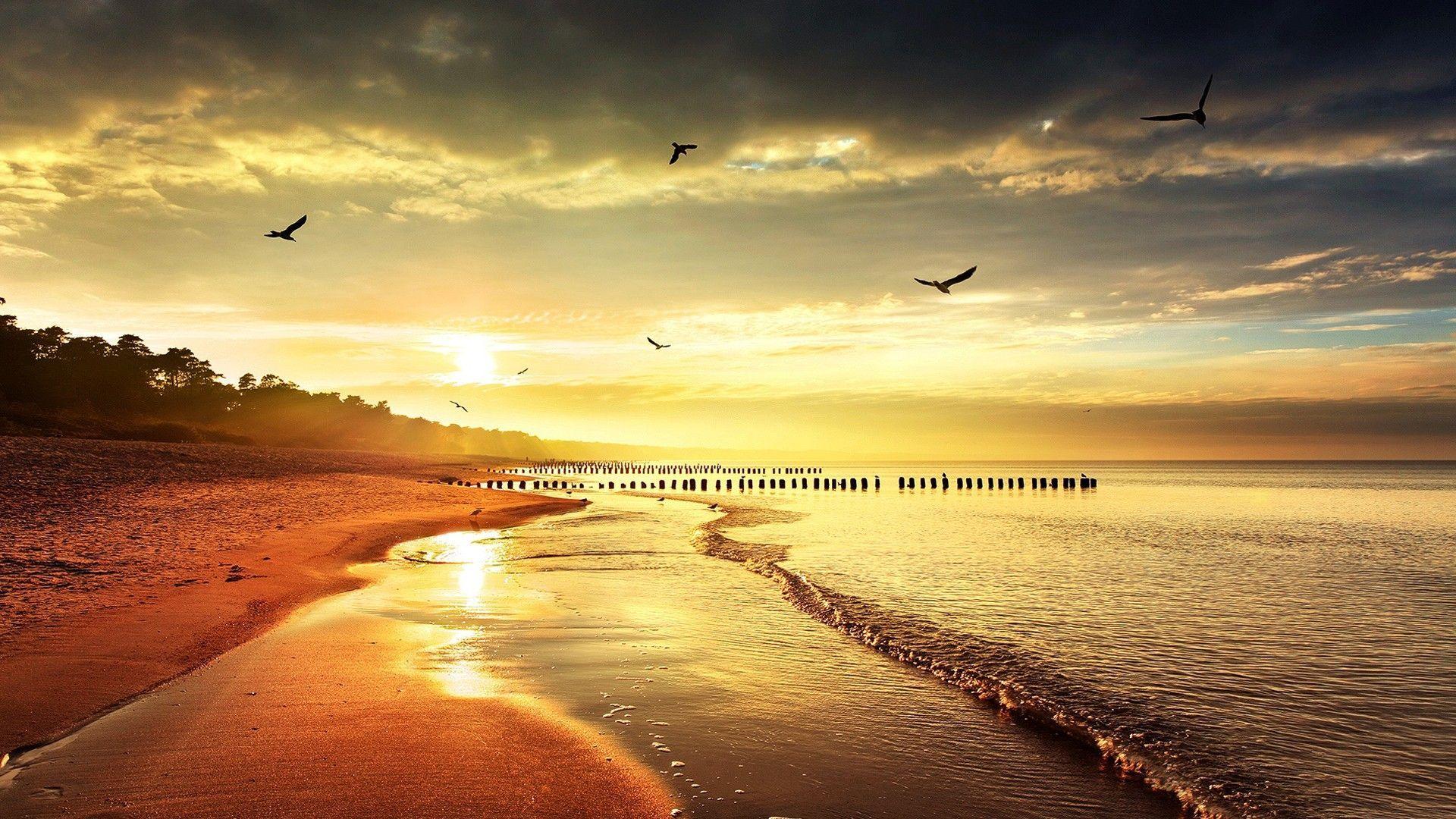 Wallpaper For > Beach Sunset Desktop Wallpaper