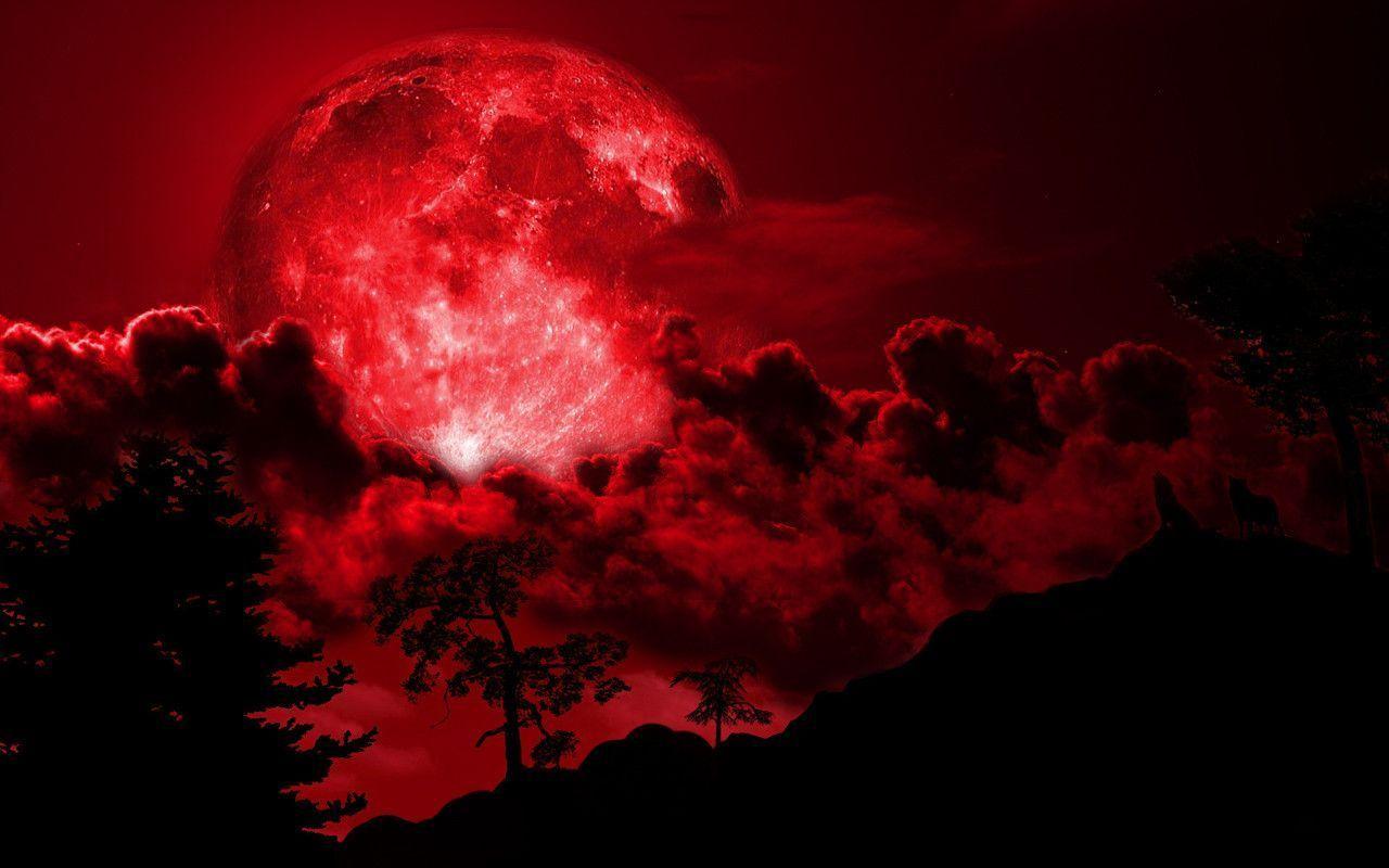 Wallpaper For > Red Full Moon Wallpaper