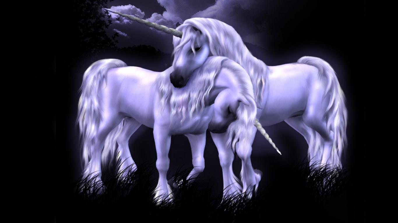 Twins Fantasy Horse Facebook Wallpaper 1366x768 HD Wallpaper