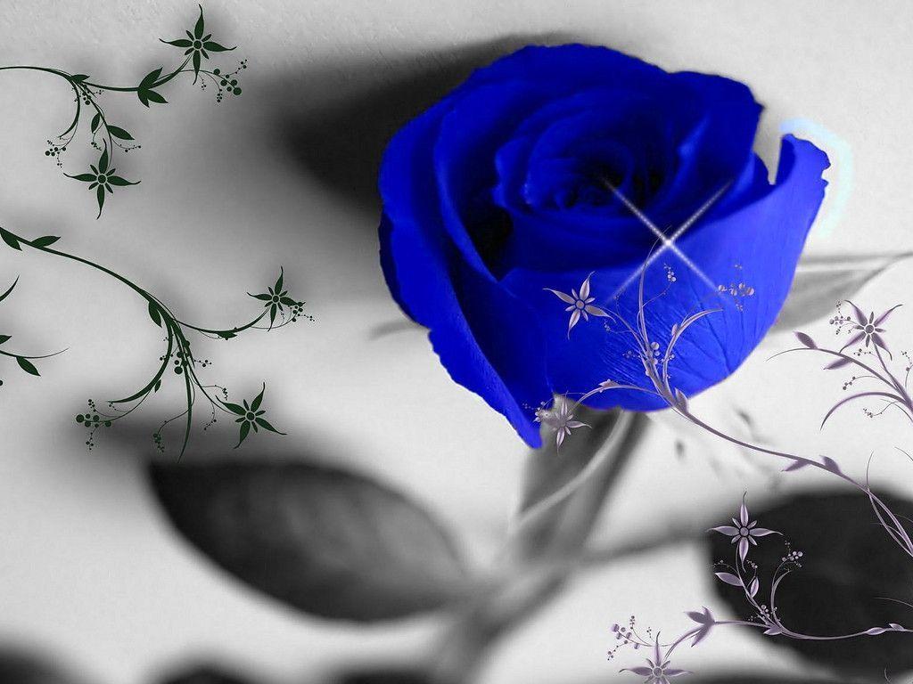 free blue roses