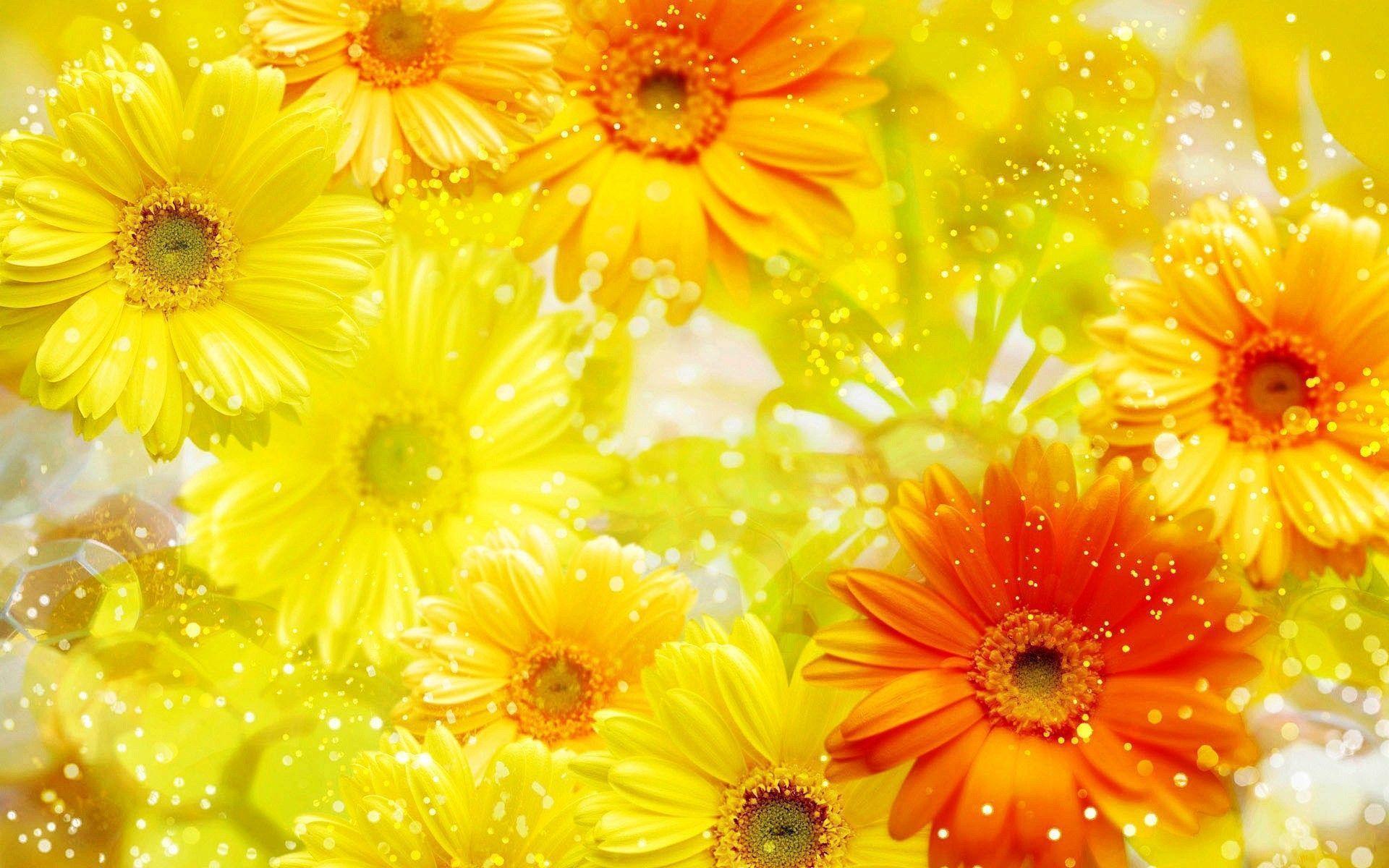 Yellow Flowers And A Butterfly Wallpaper