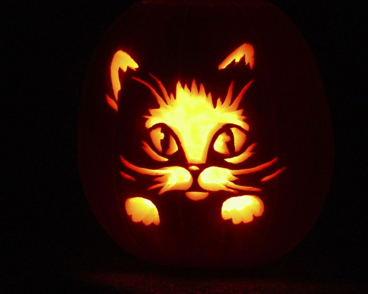 Halloween Cat HD. Cats Wallpaper HD