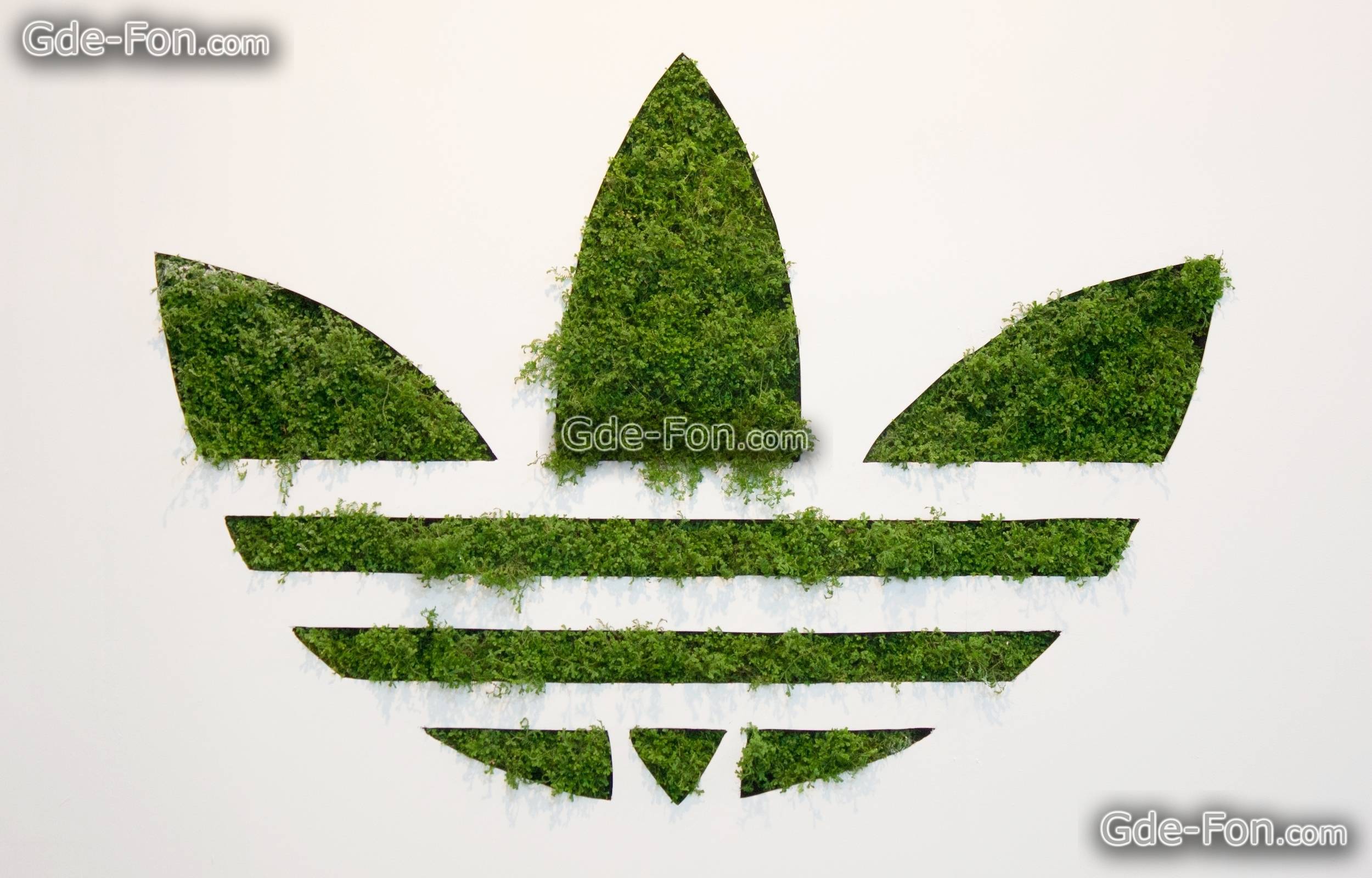 Edit wallpaper for download adidas, Adidas, originals, logo Free