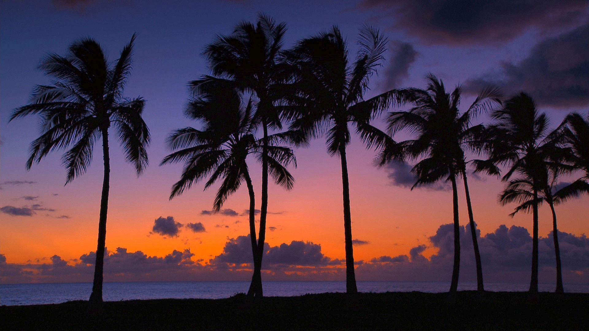 image For > Hawaiian Beaches