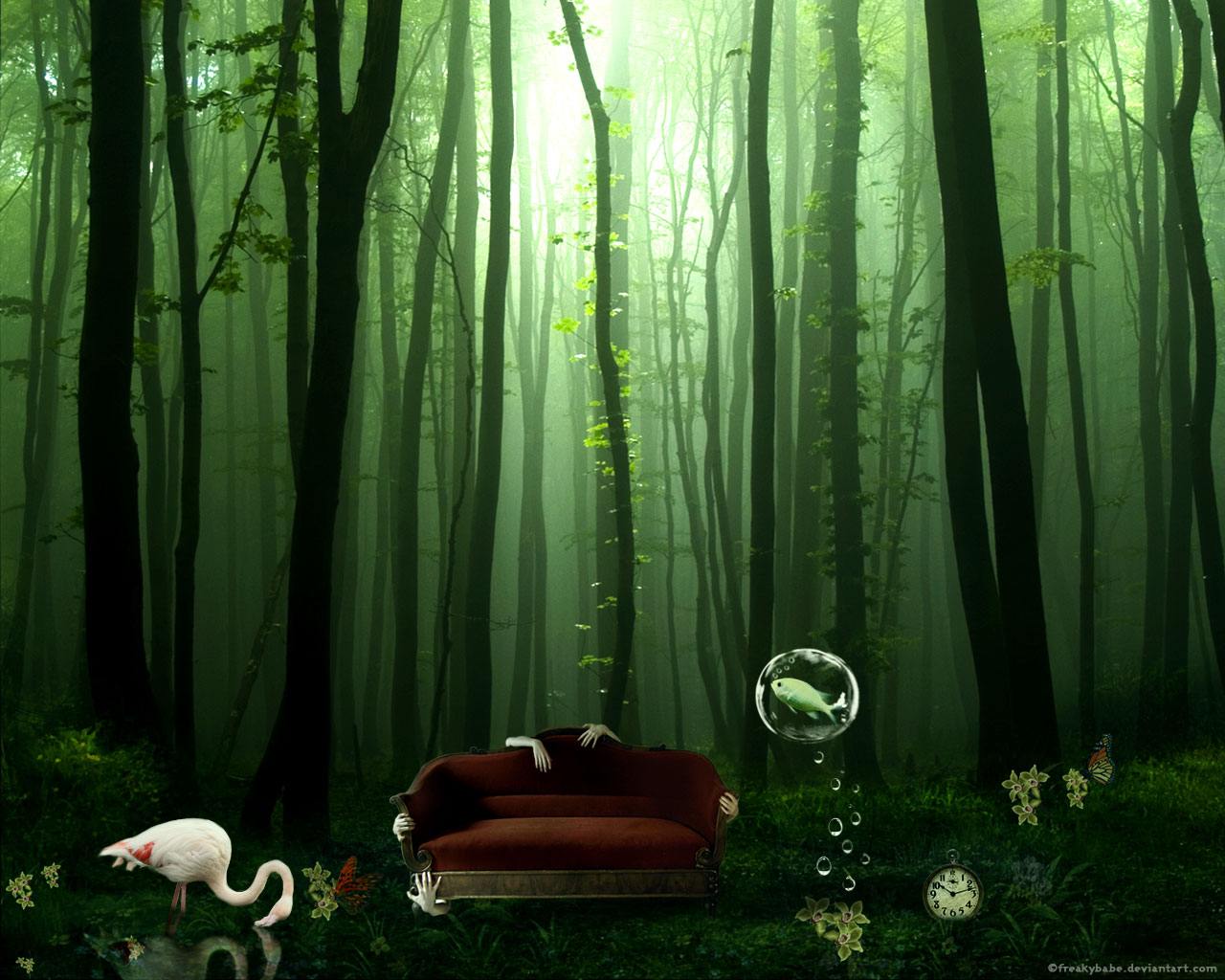 Forest Secret Place Desktop Wallpaper Picture Background