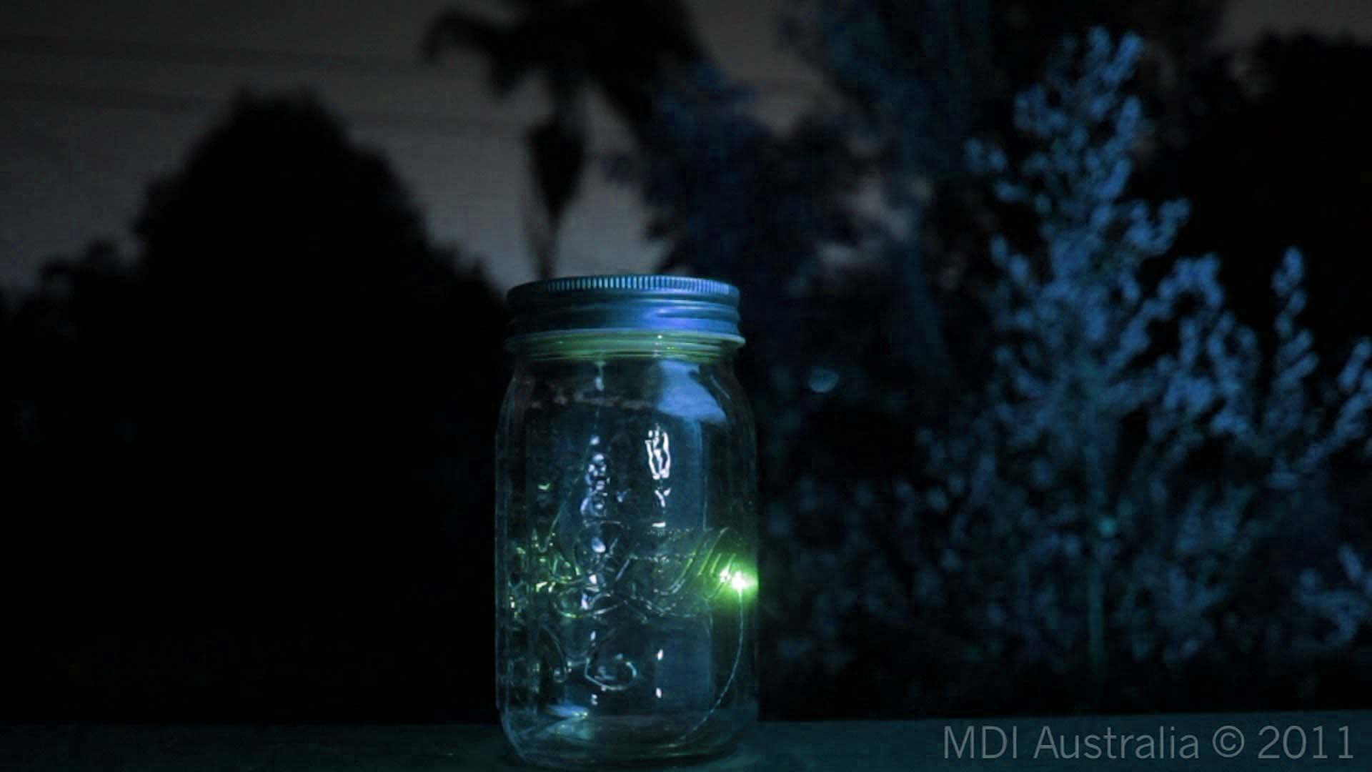 image For > Fireflies In A Jar Wallpaper