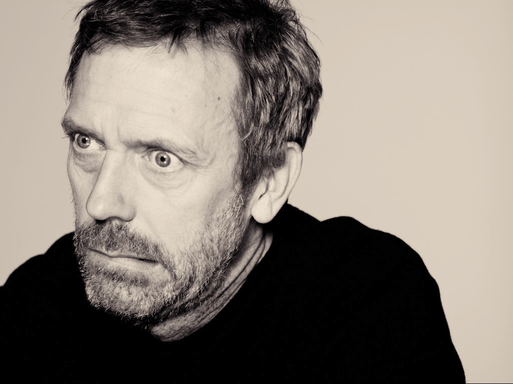 Image result for hugh laurie
