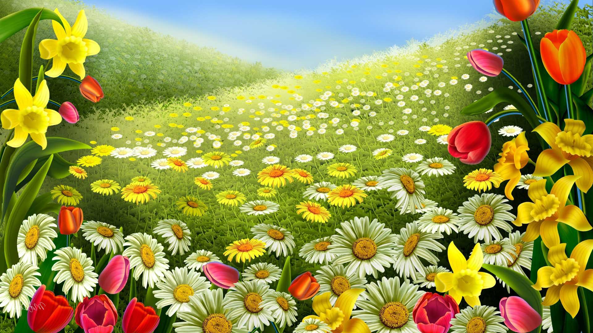 Colorful flowers Spring desktop background