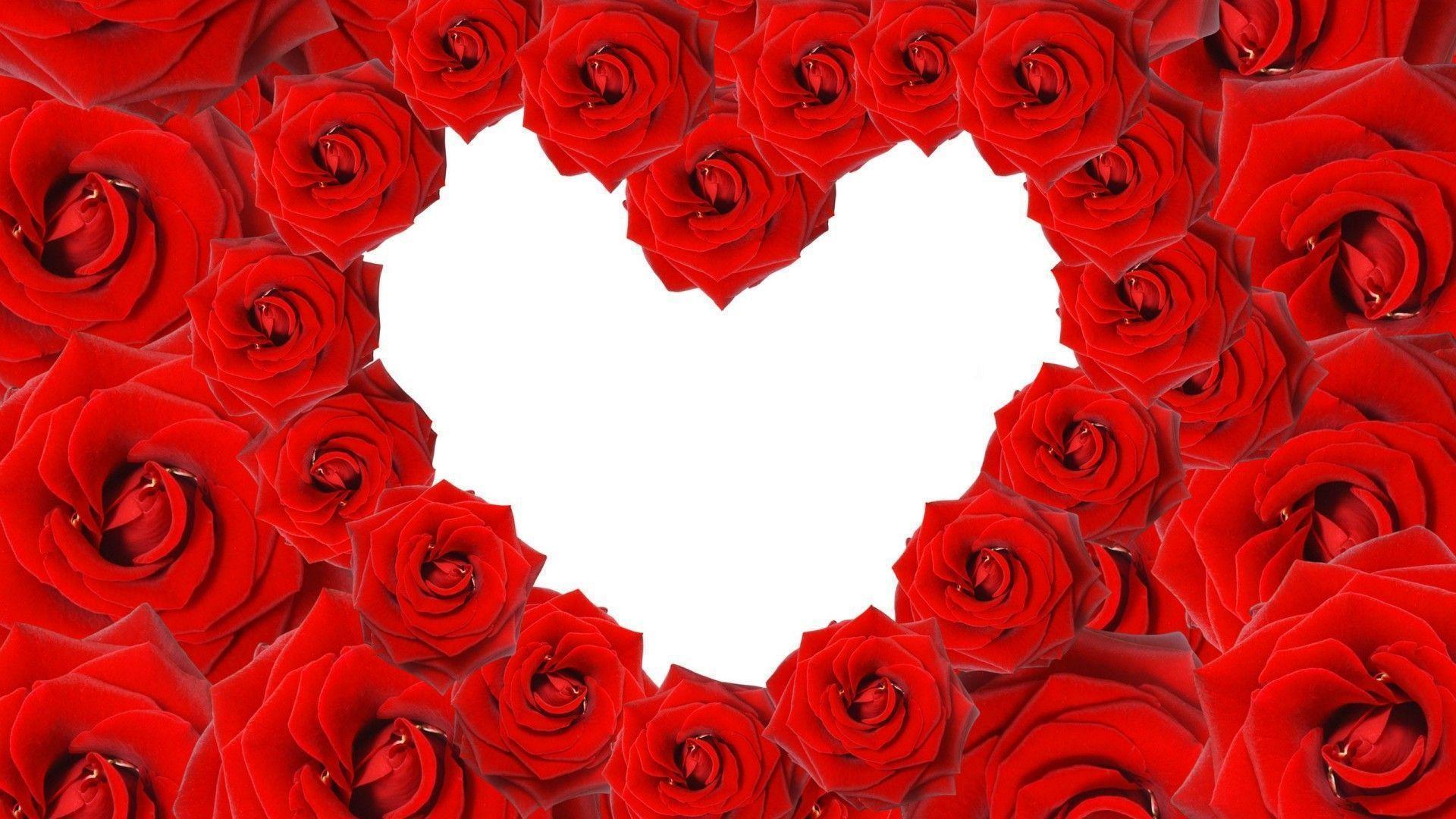 Red roses in a heart shape on white background wallpaper