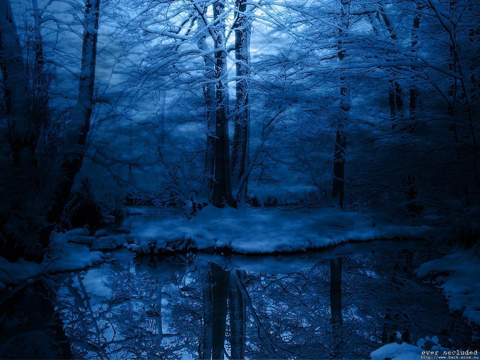 Forest twilight free desktop background wallpaper image