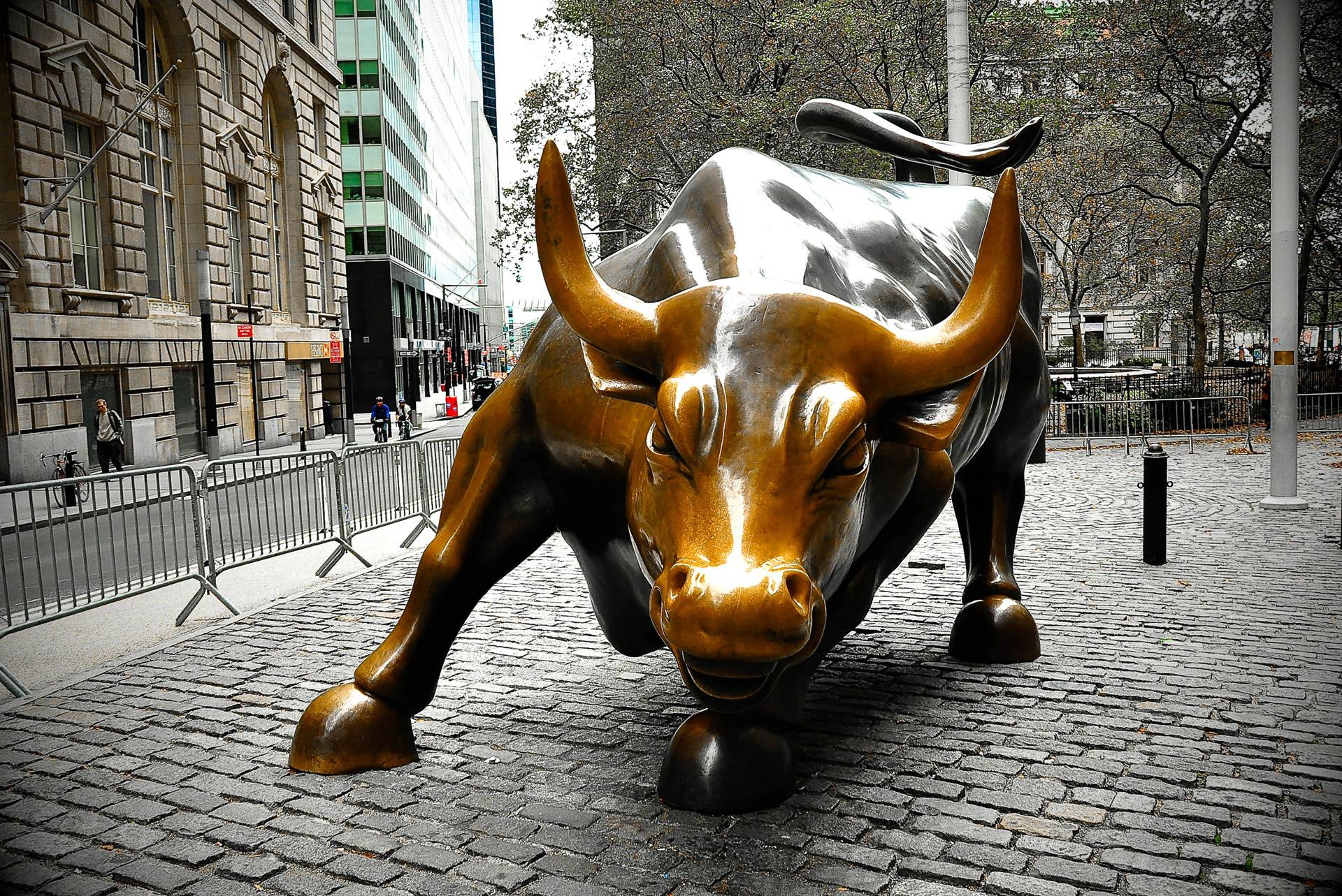 Download Wall Street Bull Wallpaper Gallery