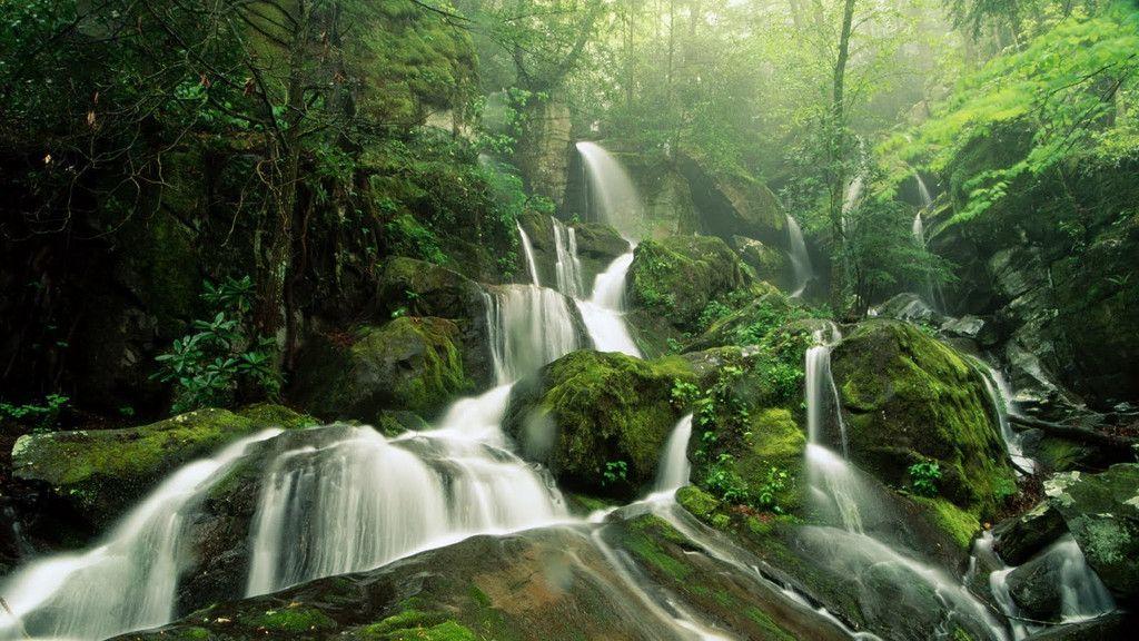 Cool Nature Wallpapers Hd Wallpaper Cave