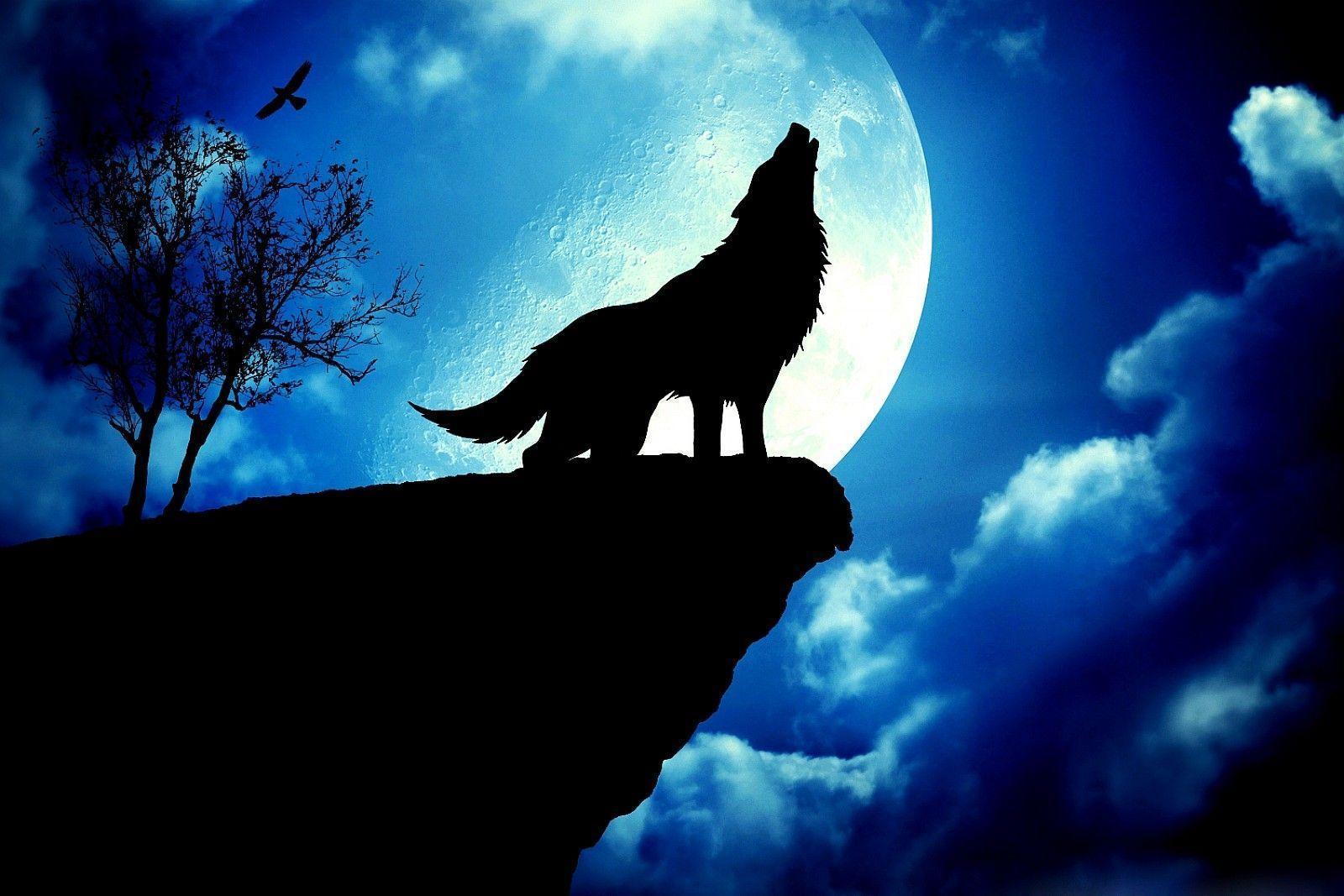 Wallpaper For > Wolf Howling At The Red Moon Wallpaper